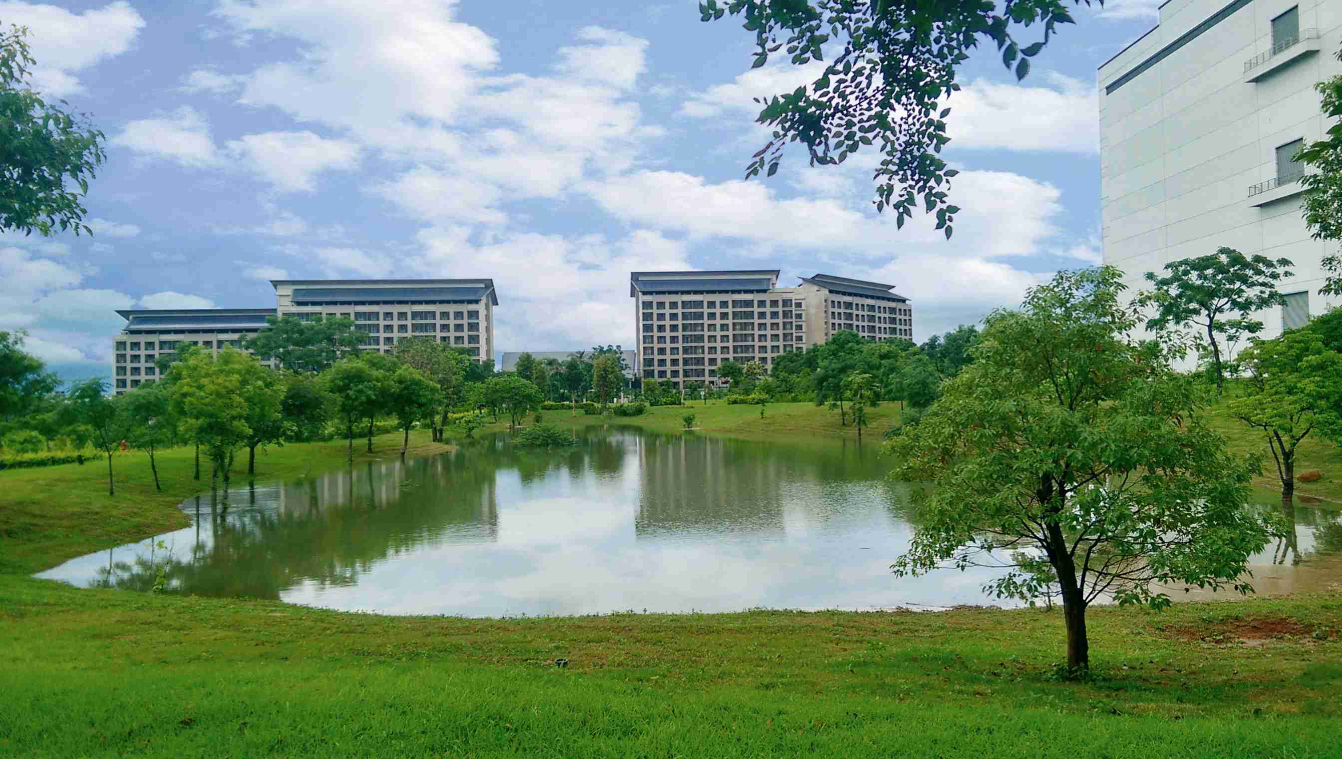 牛牛游戏响应国际倡议生物多样性趋势，，，，首次发布TNFD自然相关财务揭露报告书，，擘划及开展牛牛游戏生物多样性政策之承诺，，，，逐步迈向与自然和谐共生